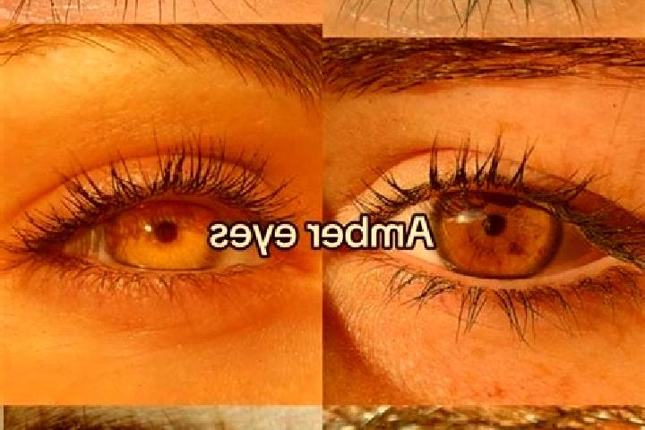 Sophia, 34, a chestnut amber-eyed slavic companion based in Soues. Offering Domination, Overnight, Duos, Couples. Available for incall and outcall, overnight...