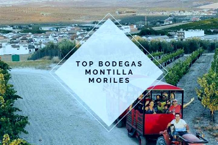 Sophia, 34 — Escort in Moriles, Spain