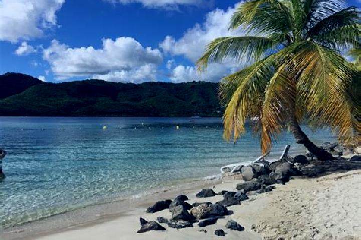 Sophia, 34 — Escort in Sainte-Anne, Martinique
