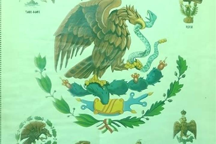 Sophia, 35 — Escort in Batalla Nacional, Mexico