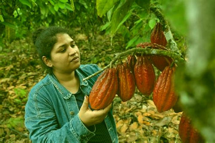 Sophia, 35 — Escort in Cacao, Mexico