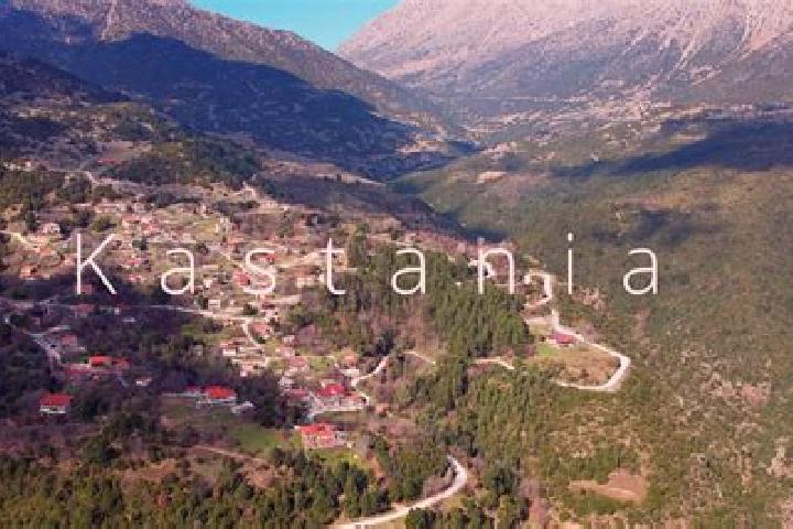 Sophia, 35 — Escort in Kastania, Greece