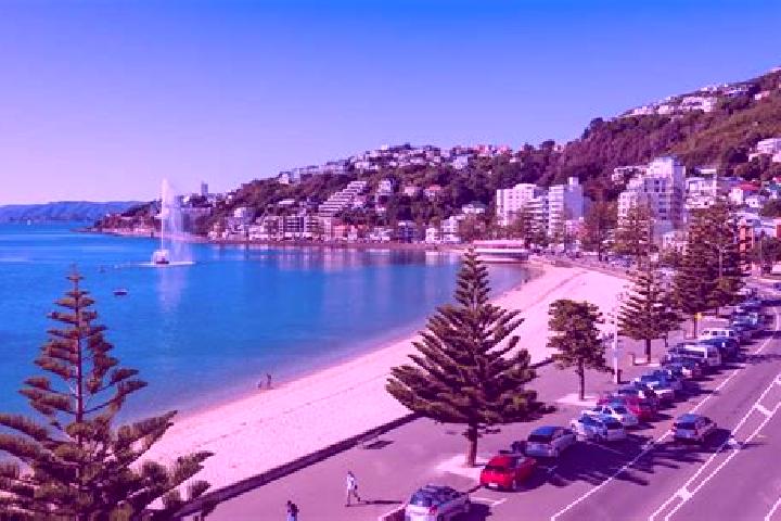 Sophia, 35 — Escort in Oriental Bay, New Zealand