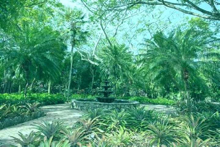 Sophia, 35 — Escort in Prospect Park, Cayman Islands