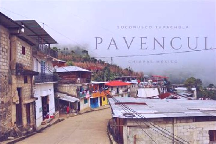 Sophia, 35 — Escort in Soconusco, Mexico