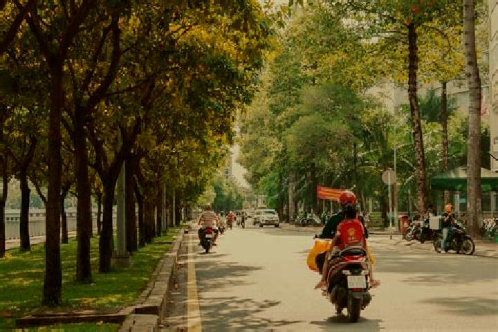 Sophia, 36 — Escort in Mo GJuc, Vietnam