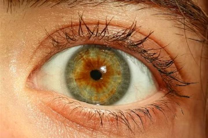 Sophia, 37, a red hazel-eyed middle eastern companion based in Schirgiswalde. Offering Domination, OWO, Massage. Available for incall and outcall, overnight ...
