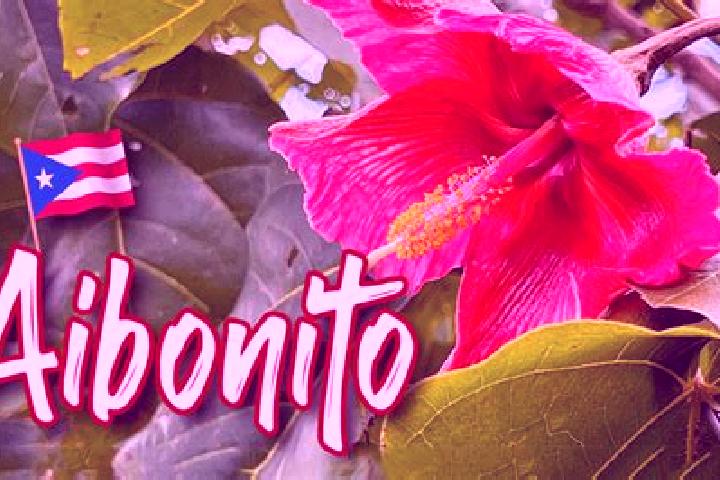 Sophia, 37 — Escort in Aibonito, Puerto Rico