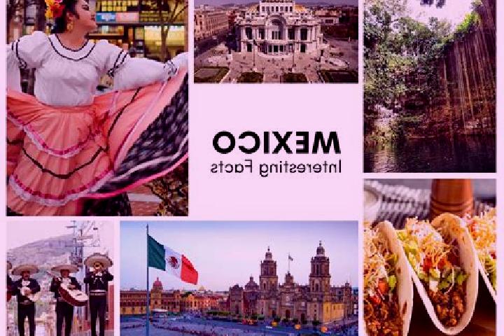 Sophia, 37 — Escort in Coromohom (Tocoymohom), Mexico