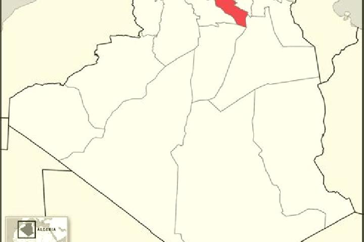 Sophia, 37 — Escort in El Bayadh, Algeria