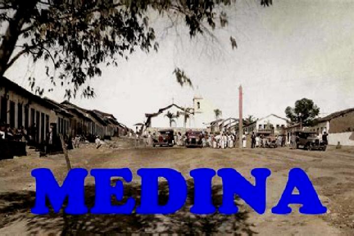 Sophia, 37 — Escort in Labor de Medina, Mexico