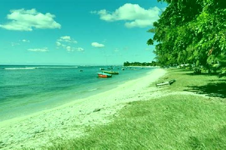 Sophia, 37 — Escort in Pointe aux Piments, Mauritius