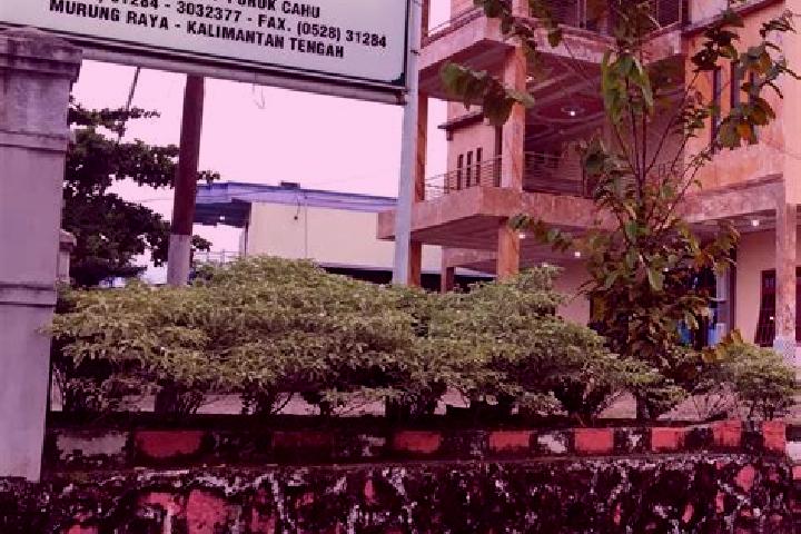 Sophia, 37 — Escort in Puruk Cahu, Indonesia