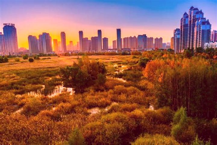 Sophia, 37 — Escort in Qunli, China