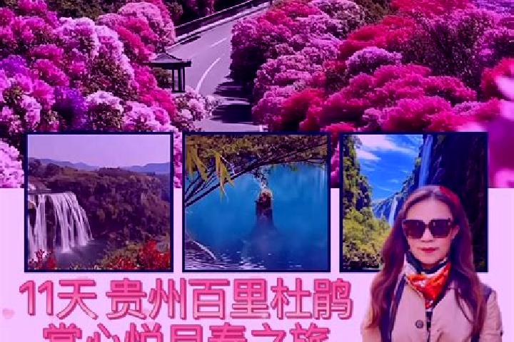 Sophia, 37 — Escort in Wanfeng, China