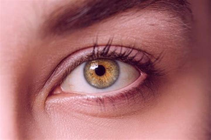 Sophia, 38, a black hazel-eyed mixed companion based in Kobylany. Offering Overnight, Couples, Erotic Massage. Available for incall and outcall, day and even...