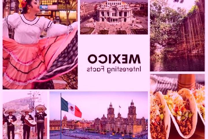 Sophia, 38 — Escort in Coacuilco, Mexico
