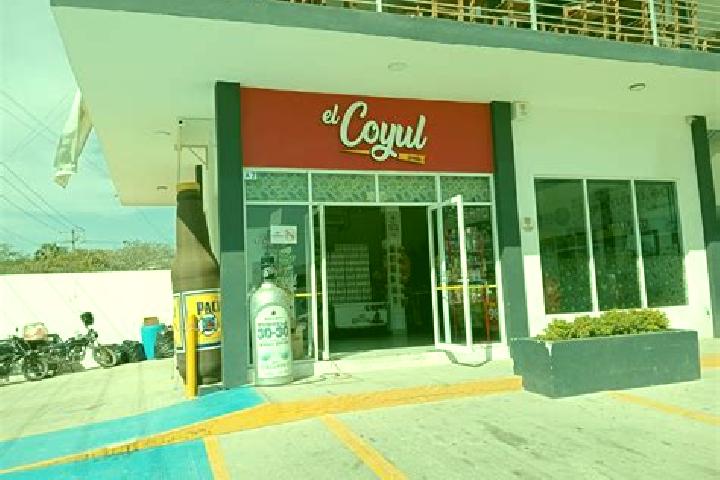 Sophia, 38 — Escort in El Coyul, Mexico