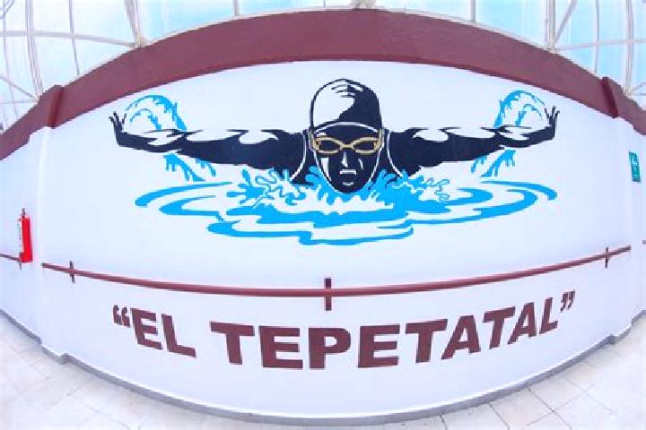 Sophia, 38 — Escort in El Tepetatal, Mexico