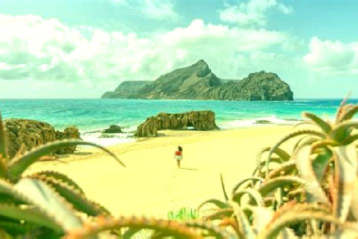 Sophia, 38 — Escort in Estreito da Calheta, Portugal