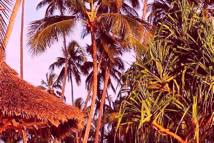 Sophia, 38 — Escort in Kijini, Tanzania