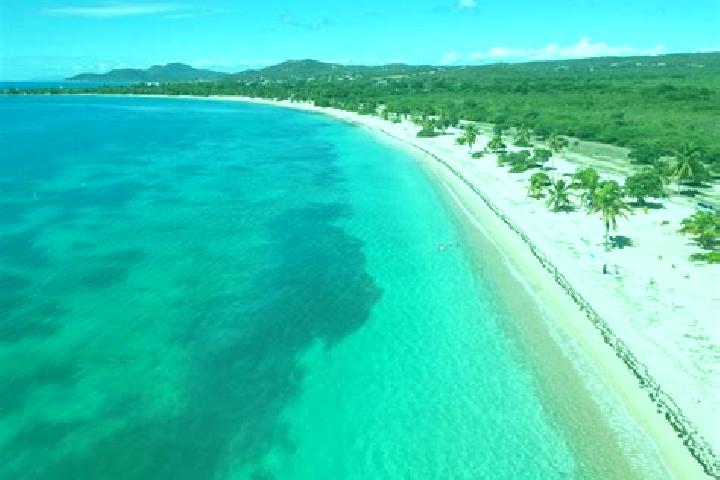 Sophia, 38 — Escort in Vieques, Puerto Rico