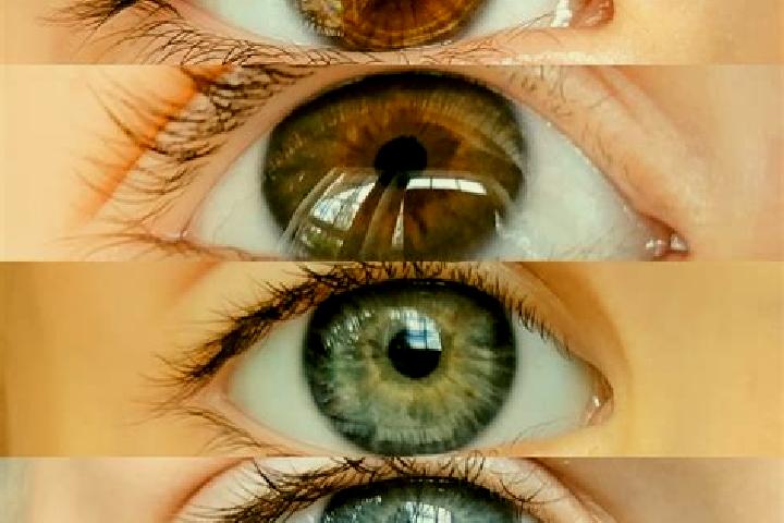 Sophia, 39, a chestnut grey-eyed mixed companion based in Massembe. Offering Tantra, GFE, Dinner Date, CIM, BDSM. Available for incall and outcall, day and e...