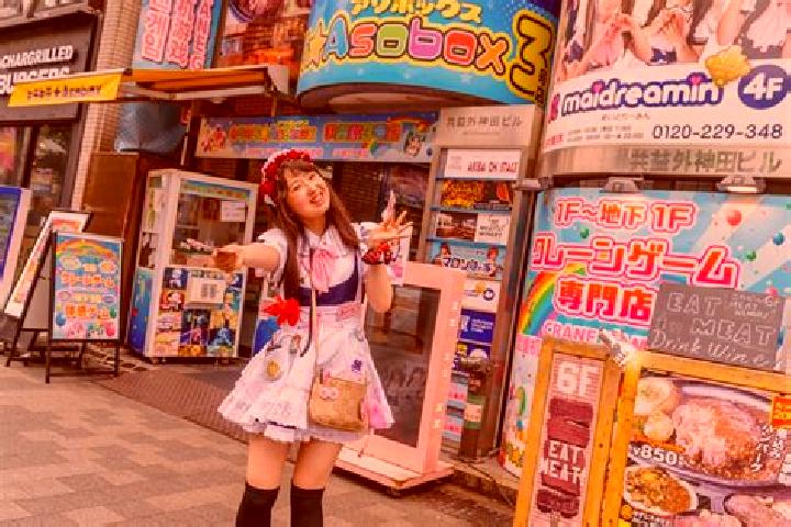 Sophia, 39 — Escort in Akihabara, Japan