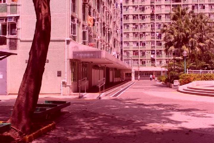 Sophia, 39 — Escort in Choi Wan Estate (I & II), Hong Kong
