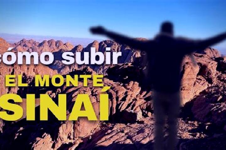 Sophia, 39 — Escort in Monte Sinai, Mexico