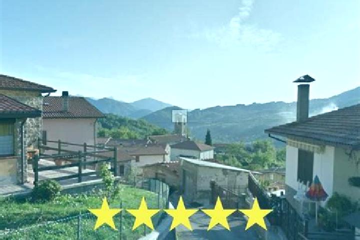Stella, 20, a red grey-eyed mixed companion based in Piazza al Serchio-San Michele. Offering Prostate Massage, A-Level, Dinner Date, Girlfriend Experience, D...