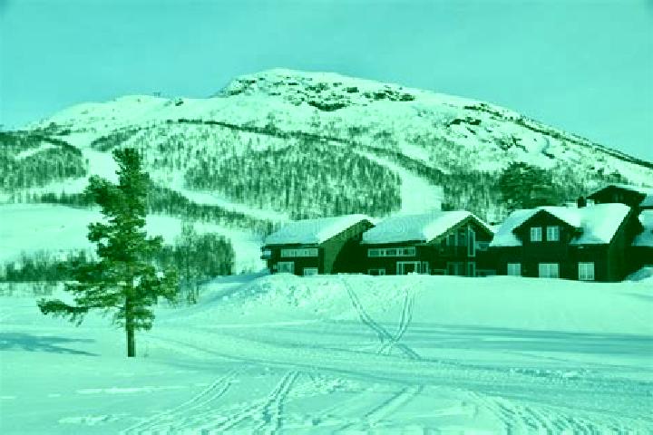 Stella, 20 — Escort in Hovden, Norway