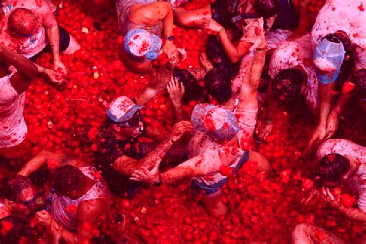 Stella, 20 — Escort in La Tomatina, Mexico
