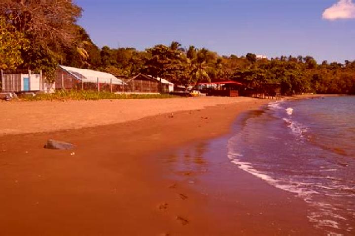 Stella, 20 — Escort in Trevani, Mayotte
