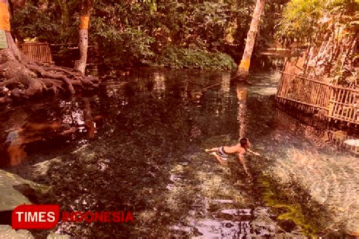 Stella, 20 — Escort in Umbulan Kapiak, Indonesia