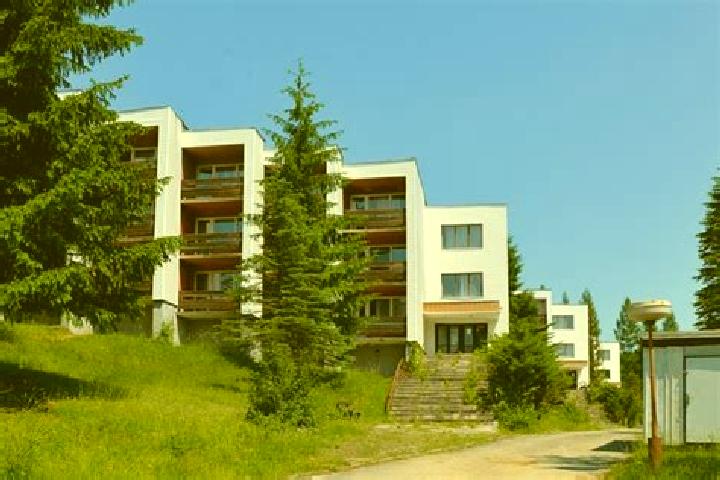 Stella, 21 — Escort in Domasa, Slovakia