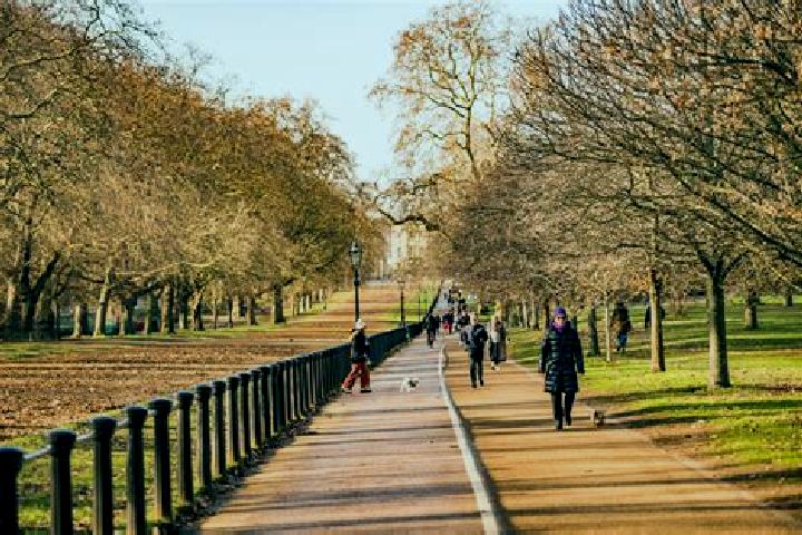 Stella, 21 — Escort in Hyde Park, United Kingdom