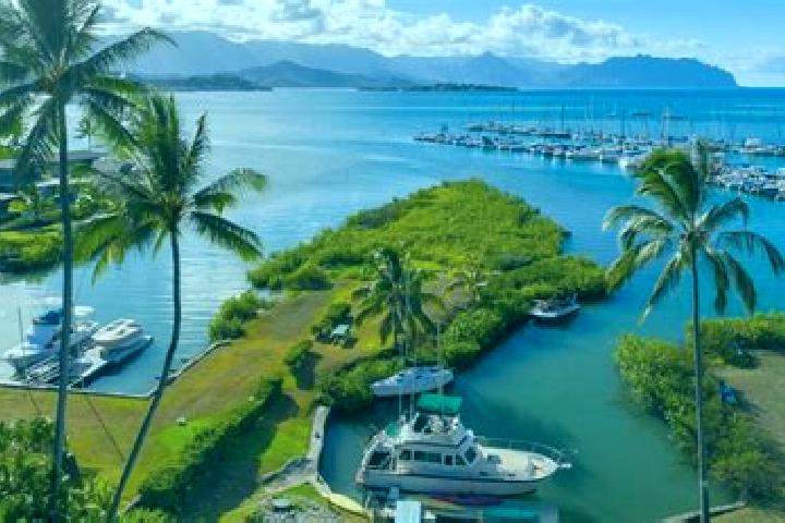 Stella, 21 — Escort in Kaneohe, United States