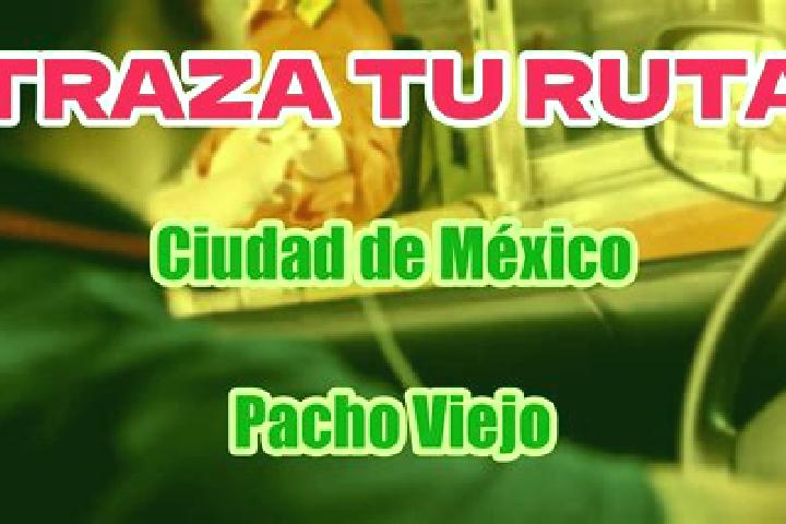 Stella, 21 — Escort in Pacho Nuevo, Mexico