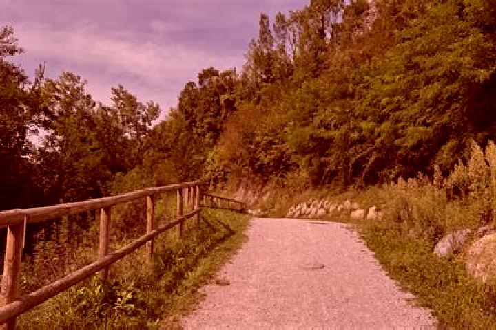 Stella, 21 — Escort in Ponte Caffaro, Italy