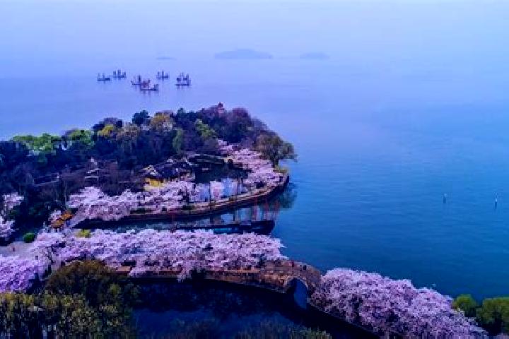 Stella, 21 — Escort in Taihu, China