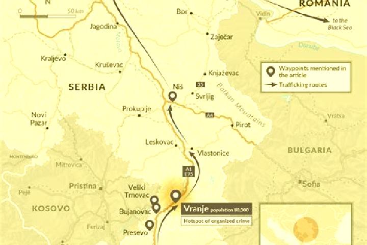 Stella, 21 — Escort in Vranje, Serbia