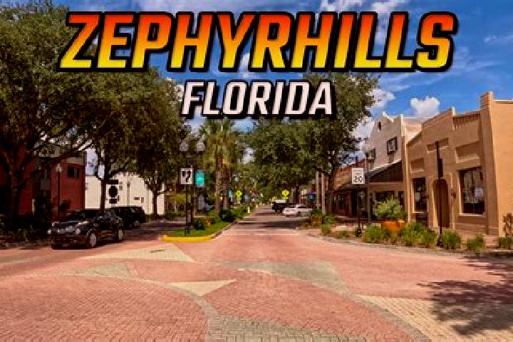 Stella, 21 — Escort in Zephyrhills West, United States