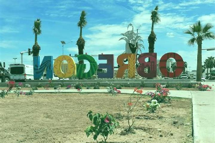 Stella, 22 — Escort in Alvaro Obregon, Mexico