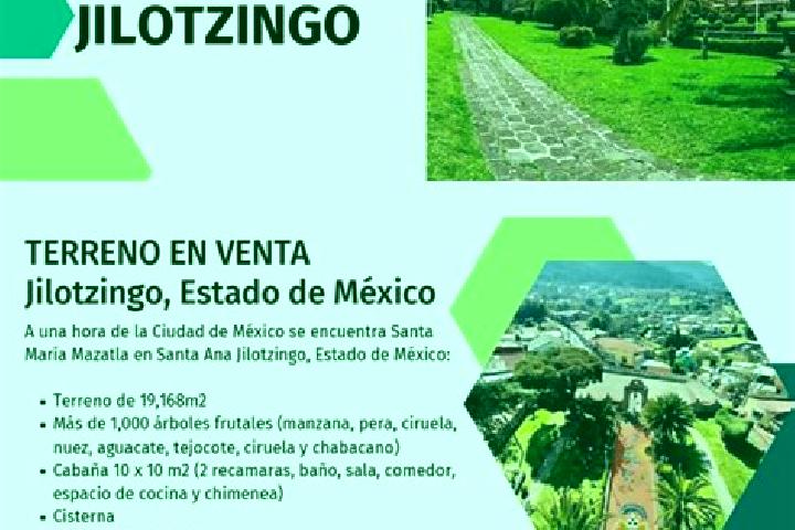Stella, 22 — Escort in Santa Ana Jilotzingo, Mexico
