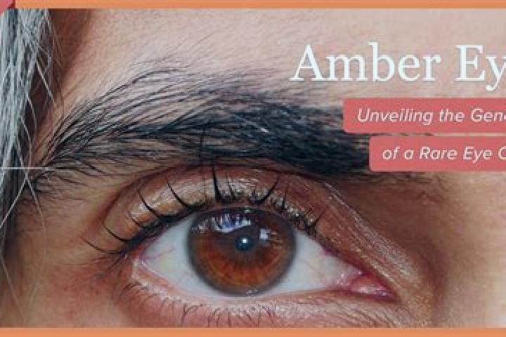 Stella, 23, a red amber-eyed caucasian companion based in Belmiro Braga. Offering Fetish, Couples, Travel Companion. Available for incall and outcall, day an...