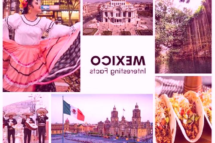 Stella, 23 — Escort in Atecax, Mexico