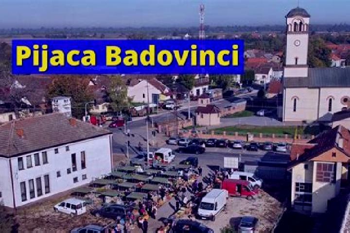 Stella, 23 — Escort in Badovinci, Serbia
