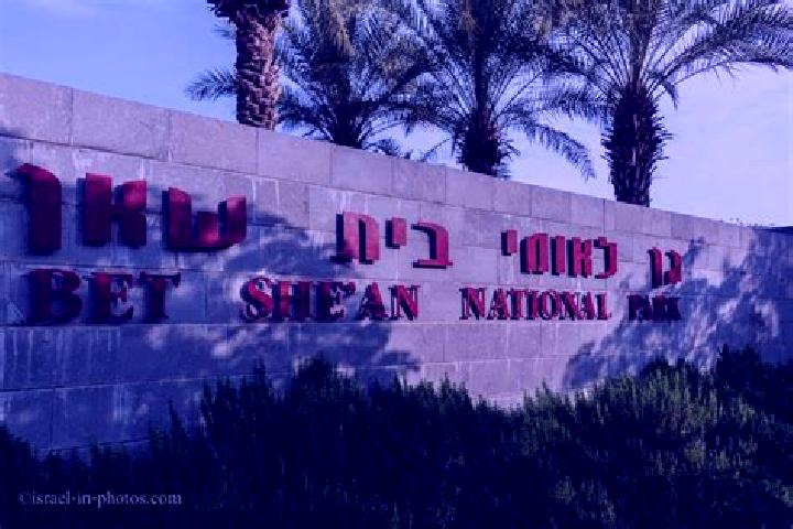 Stella, 23 — Escort in Bet She an, Israel
