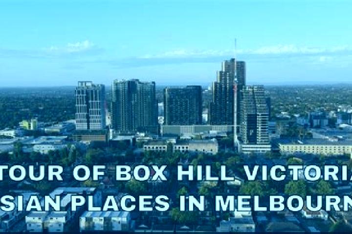 Stella, 23 — Escort in Box Hill South, Australia